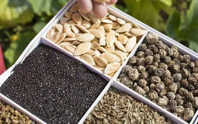 儲(chǔ)藏蔬菜種子三法