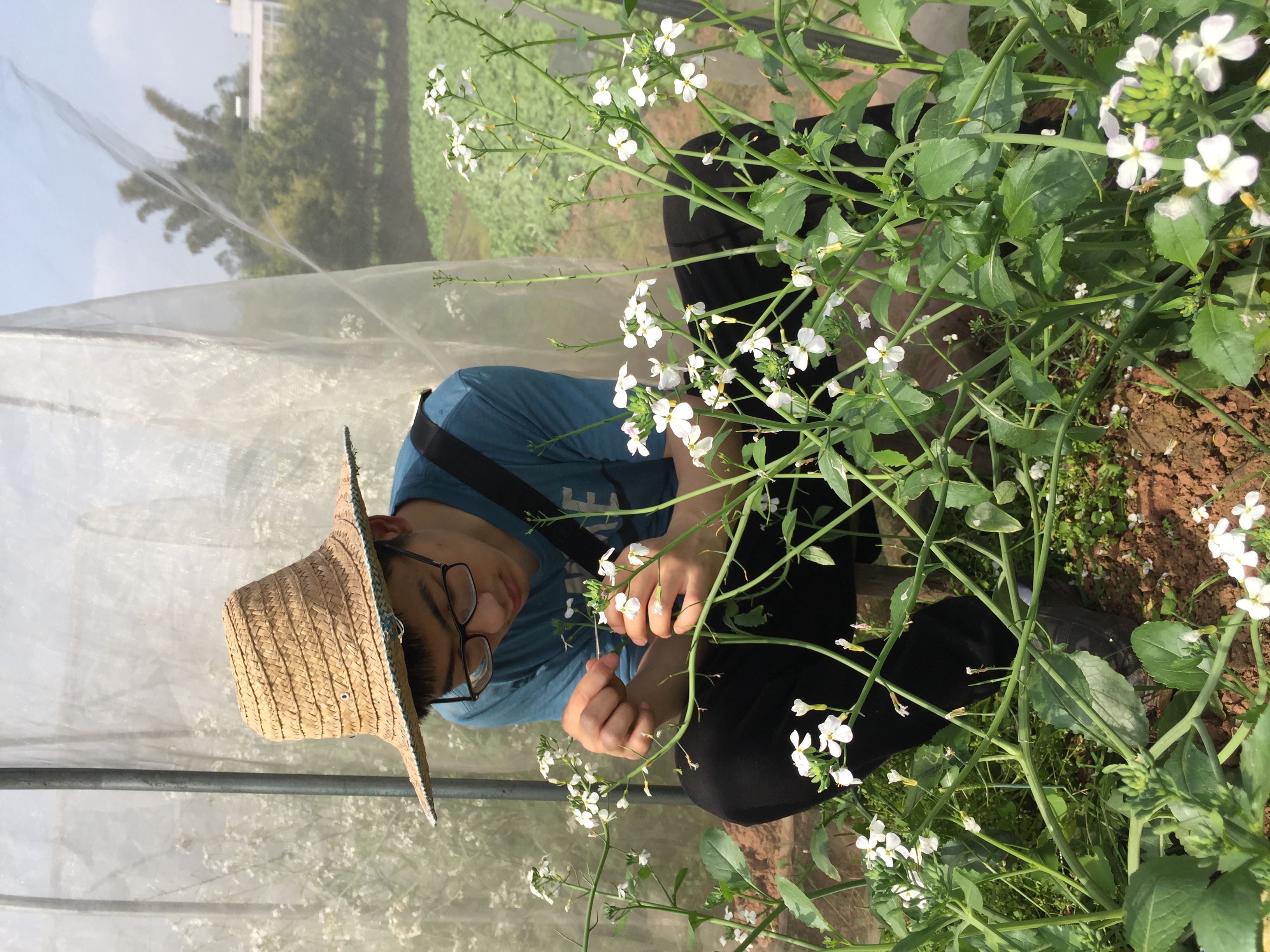 重慶方正農(nóng)業(yè)種子上太空啦！